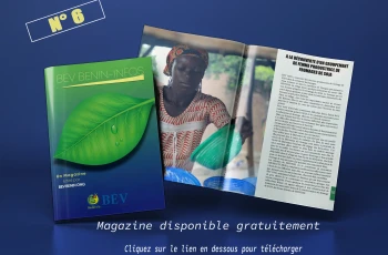 BEV INFO N° 6