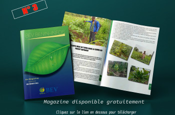 BEV INFO N° 3