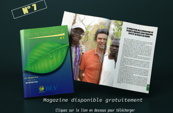 BEV INFO N°7