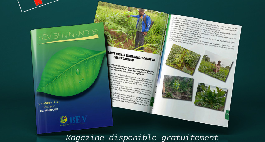 BEV INFO N° 3