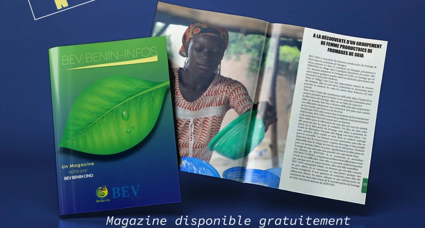 BEV INFO N° 6